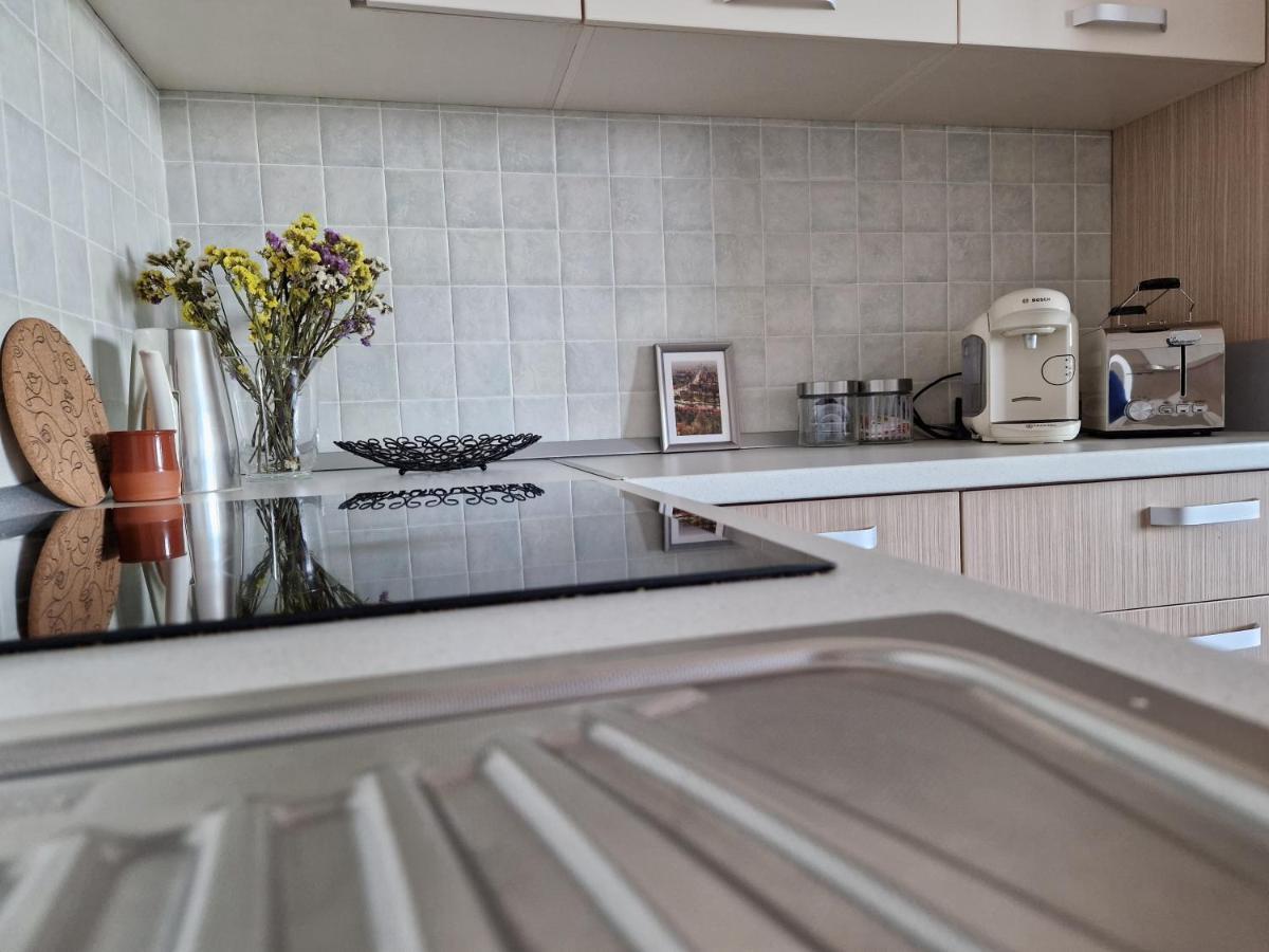 Central Skystudio Διαμέρισμα Τιμισοάρα Εξωτερικό φωτογραφία